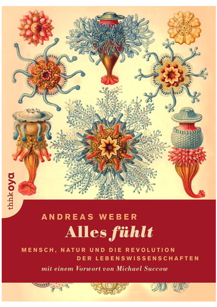 alles_fuehlt_cover